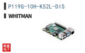 P119G-10H-K52L-DIS ͼƬ